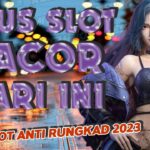 Slot Online Bertema Wabah dan Survival